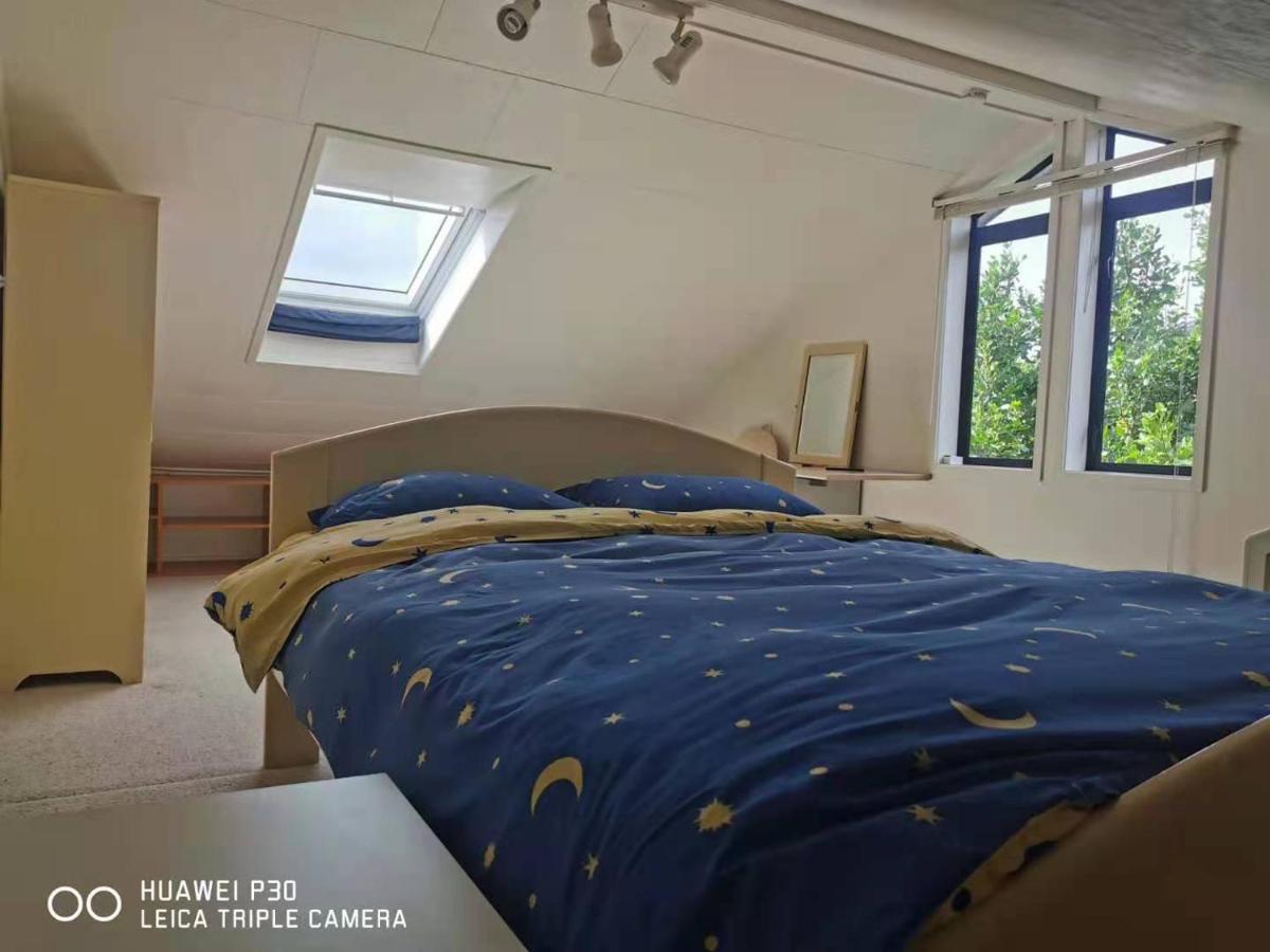 오클랜드 Red Brick House 빌라 외부 사진